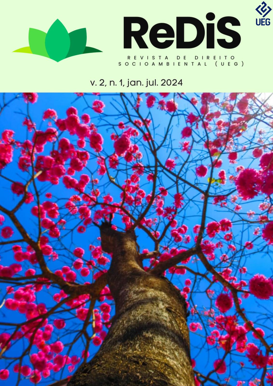Visualizar v. 2 n. 1 (2024): Revista de Direito Socioambiental (UEG)